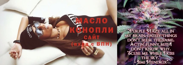 ECSTASY Бородино