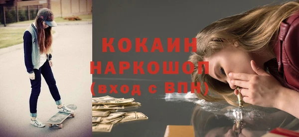 ECSTASY Бородино