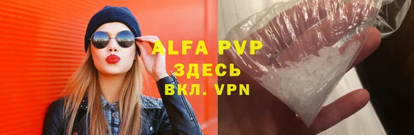 ECSTASY Бородино