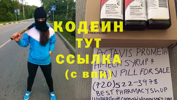 ECSTASY Бородино