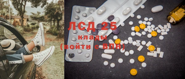 ECSTASY Бородино