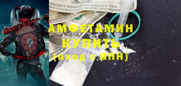 ECSTASY Бородино