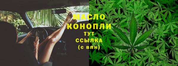 ECSTASY Бородино