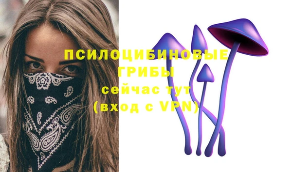 мяу мяу мука Бугульма