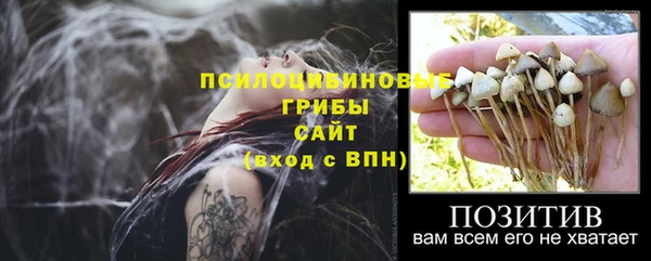 спиды Бронницы