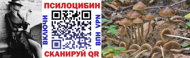 Псилоцибиновые грибы Magic Shrooms  купить  цена  Королёв 